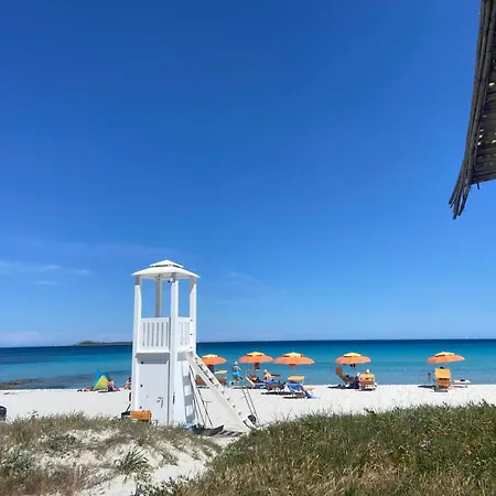 Seaview Vibes - Sardinia Style 아파트 올비아