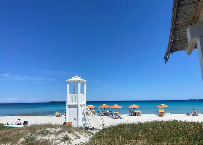 Seaview Vibes - Sardinia Style Appartement Olbia